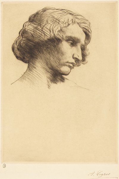  door Alphonse Legros