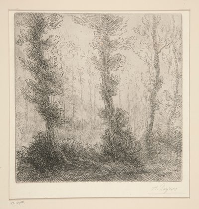 Het Kleine Meer door Alphonse Legros