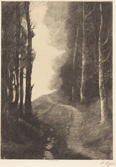 Landschap met berken door Alphonse Legros