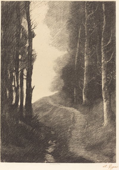 Landschap met berkenbomen door Alphonse Legros