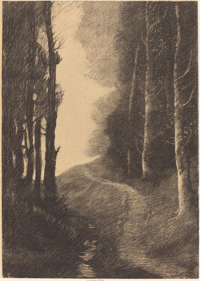 Landschap met berkenbomen Le paysage aux bouleaux door Alphonse Legros