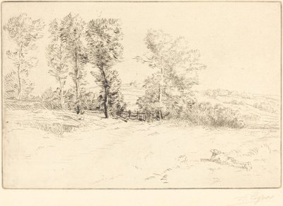 Weide in Zonneschijn door Alphonse Legros