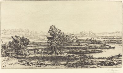 Veenmoerassen Les Tourbières door Alphonse Legros