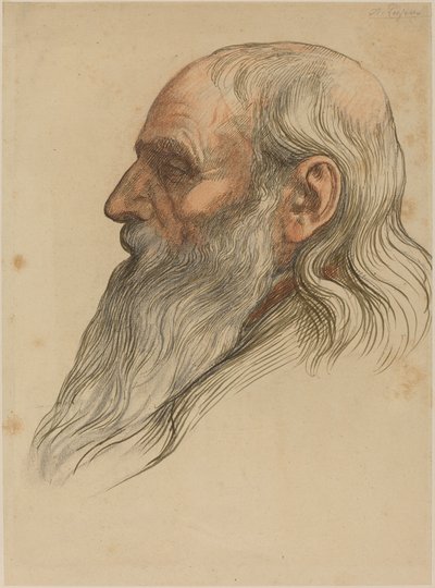 Studie van een mannenhoofd met een volle baard door Alphonse Legros