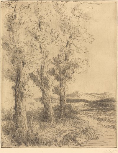 Vrouw die Leest: Les onder de Bomen door Alphonse Legros