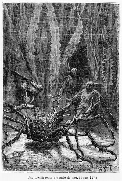 De spinnenkrab, illustratie uit 