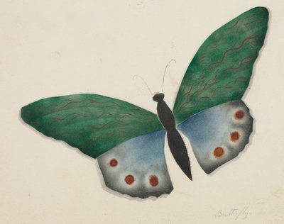 Vlinder (aquarel) door Altha Mary Nims