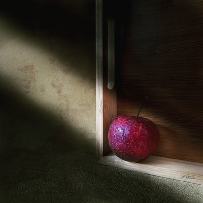  door Amal Ahmed