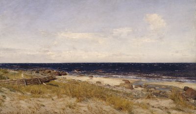 Zoet water door Amaldus Nielsen