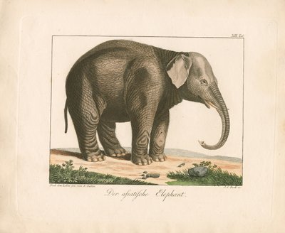  door Ambrosius Gabler
