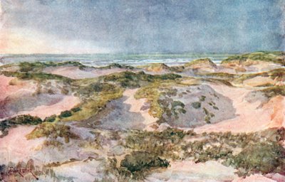 Een stormachtige avond: De duinen (kleurenlitho) door Amedee (after) Forestier