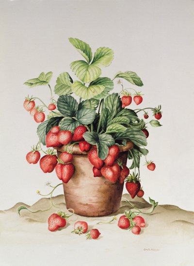 Aardbeien in een pot, 1998 door Amelia Kleiser