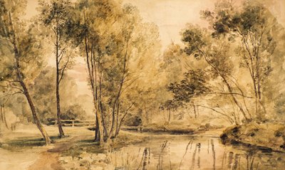 Studie van Bomen door Amelia Long