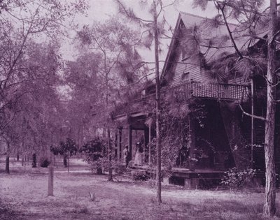 Een huis in de schaduw van Southern Pines, Florida door American Photographer (after)