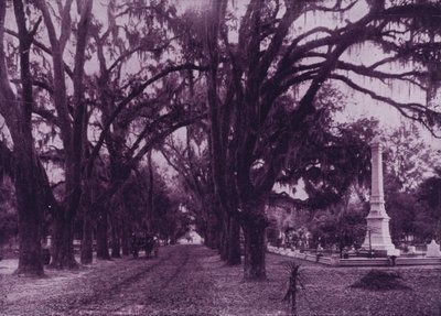 Bonaventure Cemetery, Savannah, Georgia door American Photographer (after)