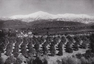 Californië: Redlands, vanaf Smiley Heights, zonneschijn, sinaasappelboomgaarden en besneeuwde toppen door American Photographer (after)