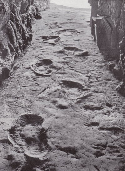 Gefossiliseerde mammoetvoetafdrukken, Carson City, Nevada, VS (z/w foto) door American Photographer