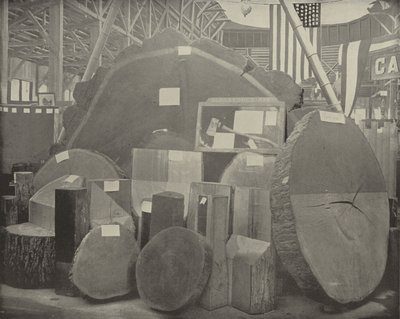 Gladstones Bijl door American Photographer