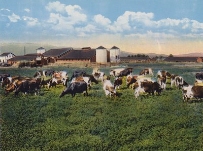 H R Timm Dairy, Dixon, Californië (kleurenfoto) door American Photographer