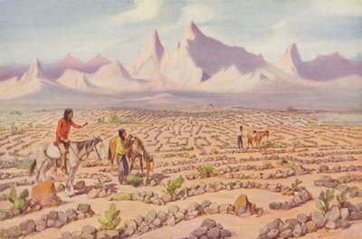 Mystiek doolhof van de Mojave-indianen, bij Needles, Californië (ingekleurde foto) door American Photographer
