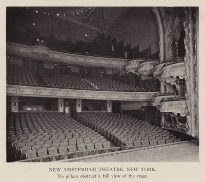 New Amsterdam Theatre, New York (z/w foto) door American Photographer