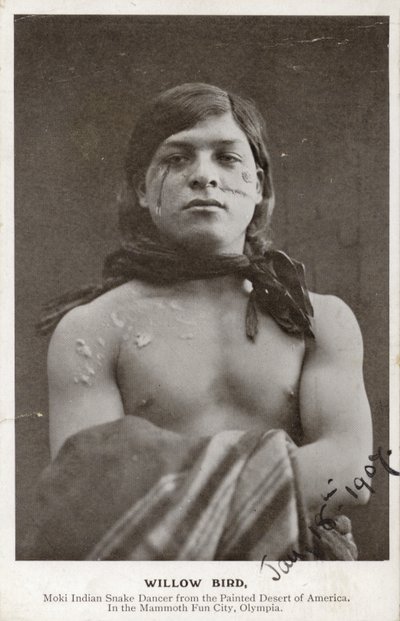 Willow Bird - Moki Indiaanse slangendanser uit de geschilderde woestijn van Amerika (z/w foto) door American Photographer