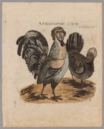 Een Filosofische Haan, 1804 door American School