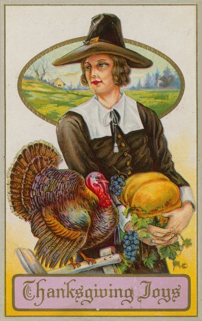 Amerikaanse Thanksgiving Day-kaart door American School