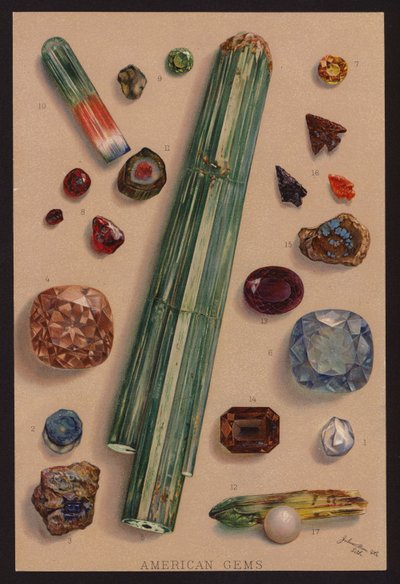 Amerikaanse edelstenen (kleurenlitho) door American School