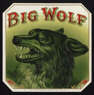 Zwarte wolf ontbloot tanden door American School