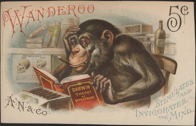 Charles Darwin, Theorie van Ontwikkeling (d.w.z. Evolutie) door American School
