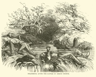 Deadbrook na de Slag bij Ezras Kerk, augustus 1864 door American School
