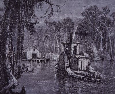 Florida Everglades scène door American School