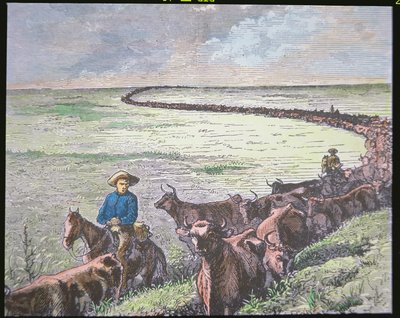 Longhorn veedrijver van Texas naar Abilene, Kansas, c.1870s door American School