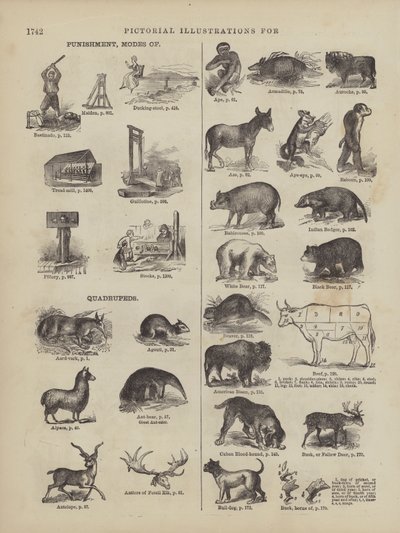 Pagina uit Websters Complete woordenboek (George Bell door American School