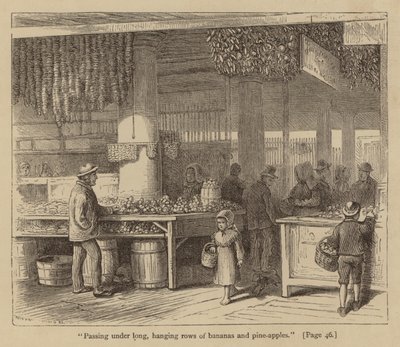 "Passerend onder lange, hangende rijen bananen en ananas" (gravure) door American School