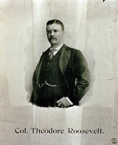 Portret van Kolonel Theodore Roosevelt door American School