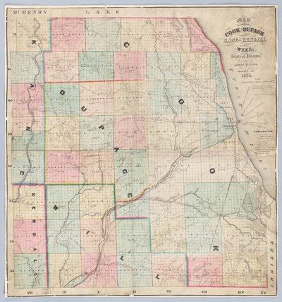 Rees Kaart van Cook en DuPage Counties door American School