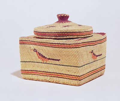 Salish mand met vogels, van de Noordwestkust door American School