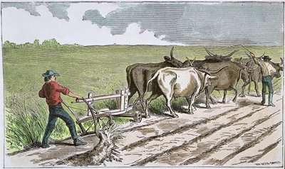 Sodbusters van het Amerikaanse Westen, ca. 1880 (gekleurde gravure) door American School