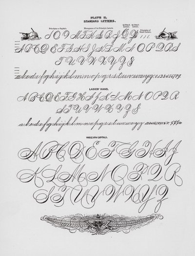 Standaardletters; Dameshand; Hele Arm Hoofdletters (gravure) door American School