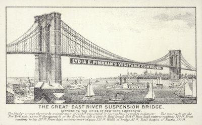 De Grote East River Hangbrug, New York door American School