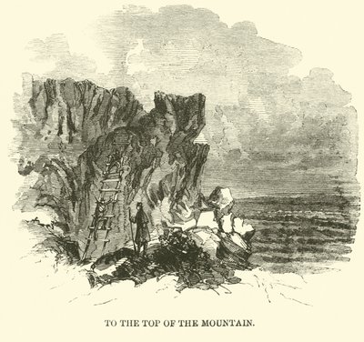 Naar de top van de berg, november 1863 door American School