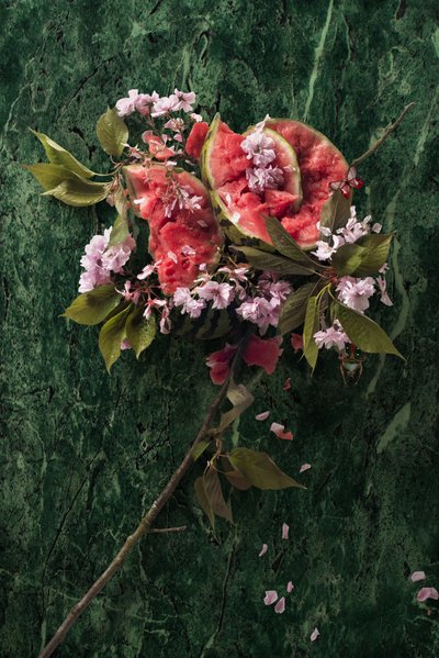  door Ana Carolina Tavares Mizrahi