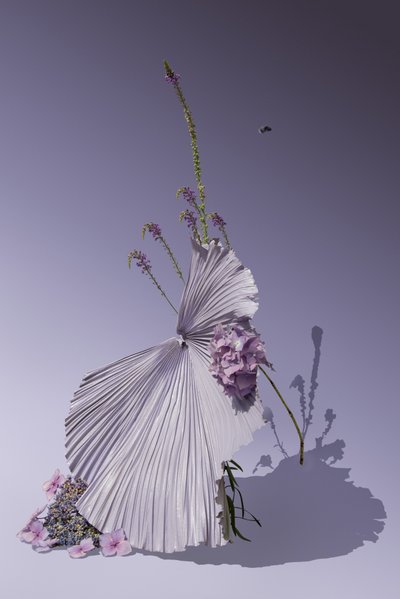  door Ana Carolina Tavares Mizrahi