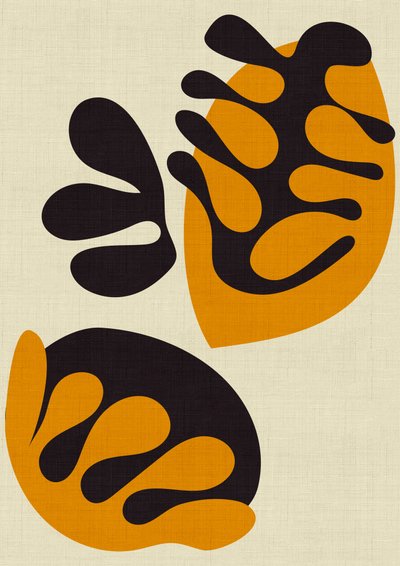 Knipsels van Matisse door Ana Rut Bre