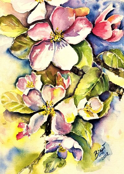 Lente-appelbloesems door Anda Bieza