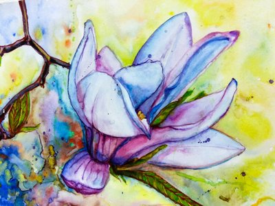 Levendige magnoliabloesem door Anda Bieza