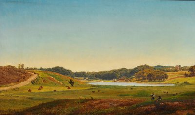 Deens oogstlandschap door Anders Christian Lunde