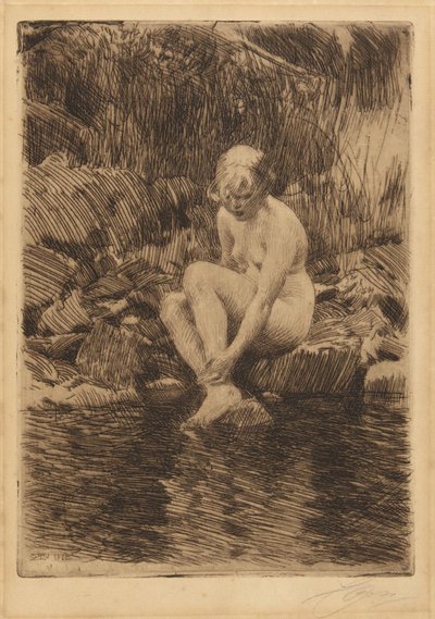  door Anders Leonard Zorn